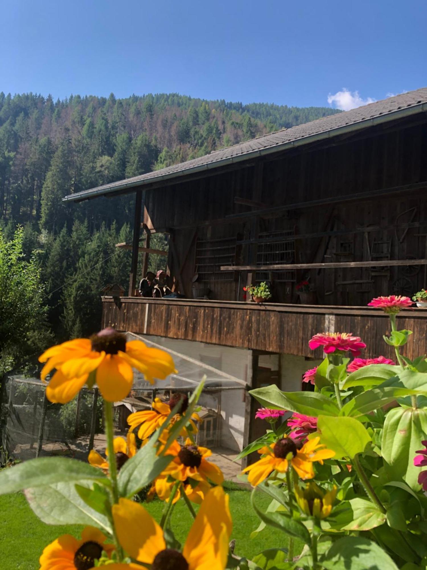 Thalerhof Appartement Sankt Lorenzen Buitenkant foto
