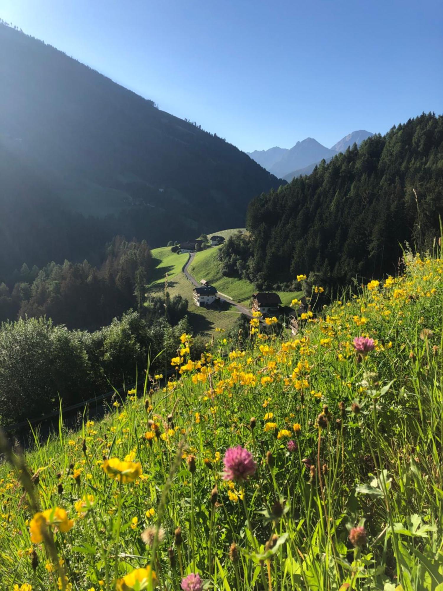 Thalerhof Appartement Sankt Lorenzen Buitenkant foto
