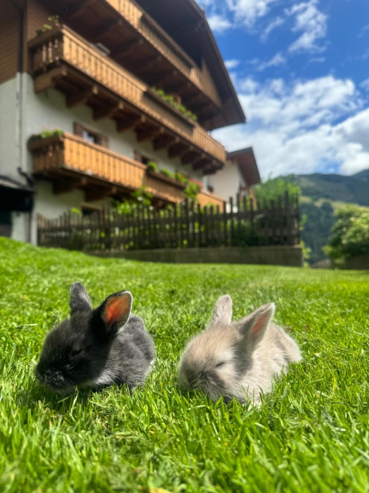 Thalerhof Appartement Sankt Lorenzen Buitenkant foto
