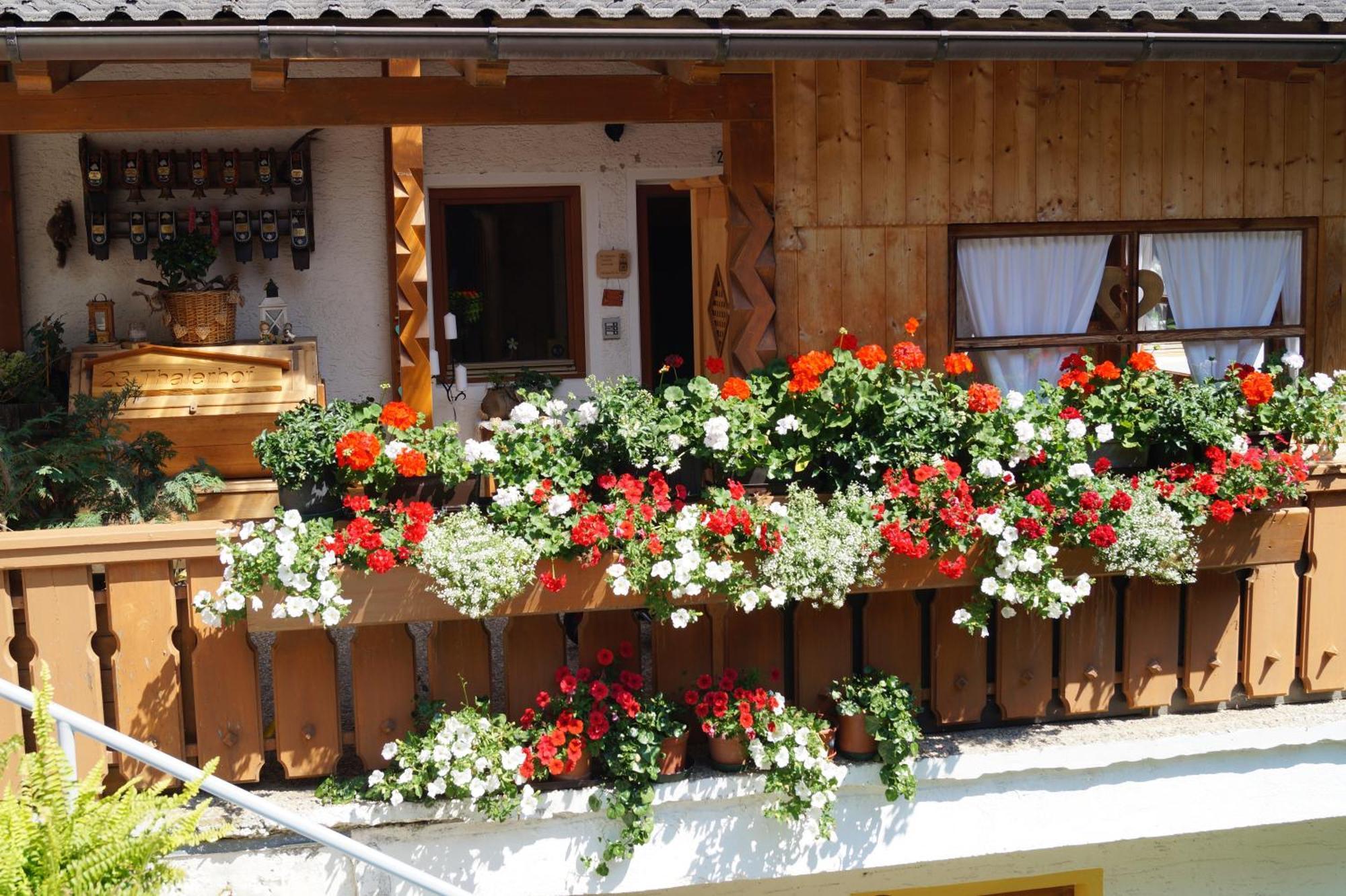Thalerhof Appartement Sankt Lorenzen Buitenkant foto